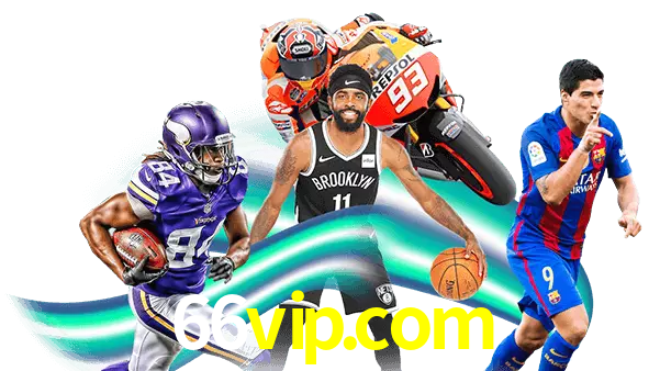 66vip.com