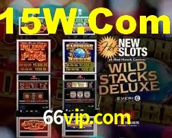 Premium Interface 66vip.com