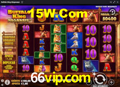 66vip.com