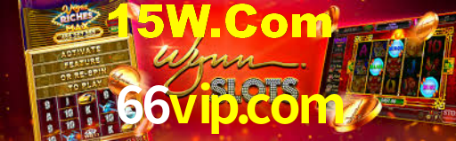 66vip.com