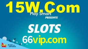 66vip.com