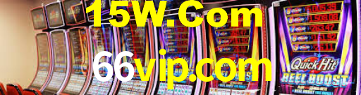 66vip